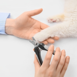 Category image: Pet Nail Tools